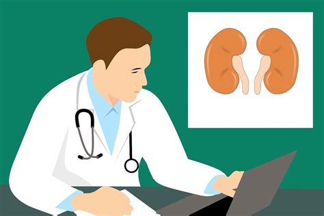 kidney disease and nephrology near occidental|Kidney & Urine Doctors .